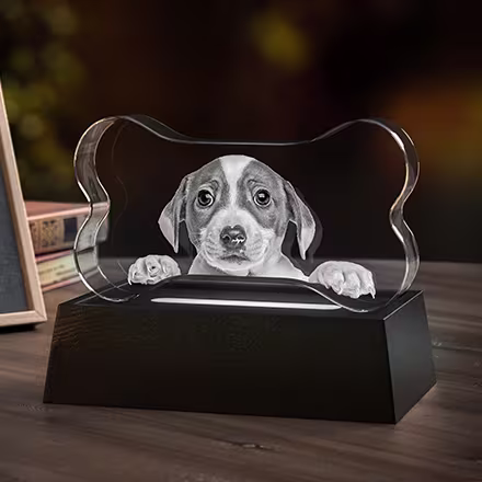 3D Pet Bone Crystal engraved with a puppy portrait, displayed on a black LED light base.