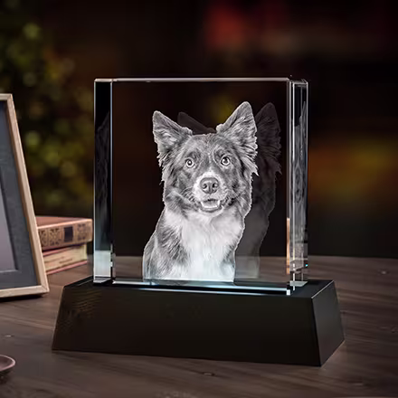 3D Photo Crystal Cube engraved with a Border Collie portrait, displayed on a black LED light base.